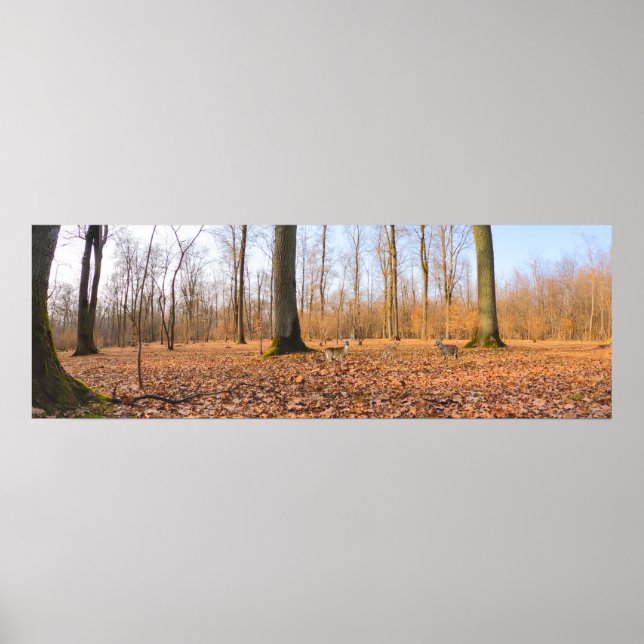 Poster Panorama (Devant)