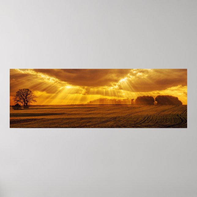 Poster Panorama de coucher de soleil à la campagne (Devant)