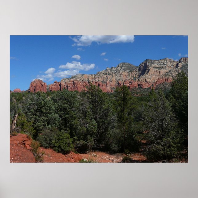 Poster Panorama de Red Rocks à Sedona Arizona (Devant)