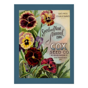 Poster Pansies
