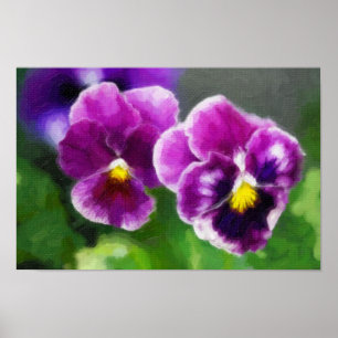 Poster Pansies violettes