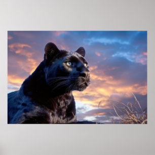 Poster Panther Animal Nature Majestic Wild