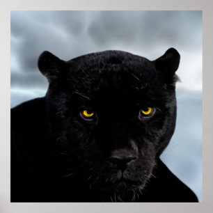 Poster Panthère noire