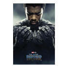 Panthère noire | Black Panther Character