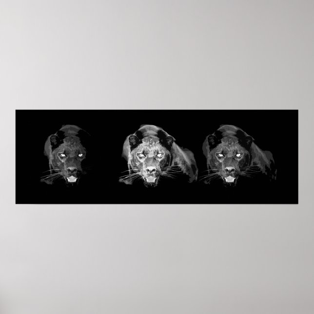 Poster Panthère noire sauvage Jaguar Cat Eyes Noir & Blan (Devant)