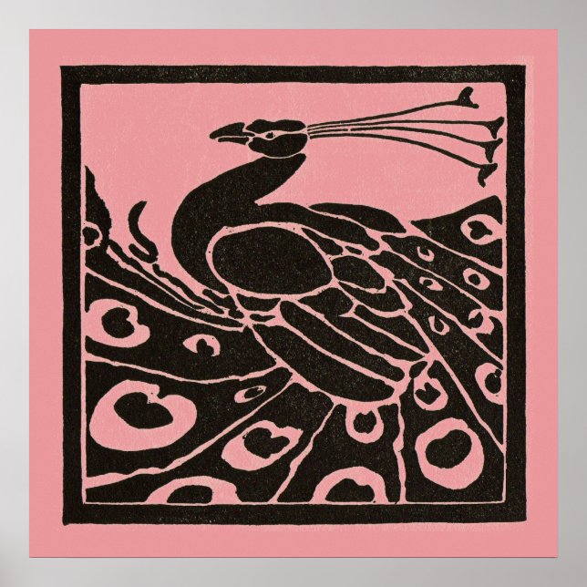 POSTER PAON NOIR ET ROSE (Devant)