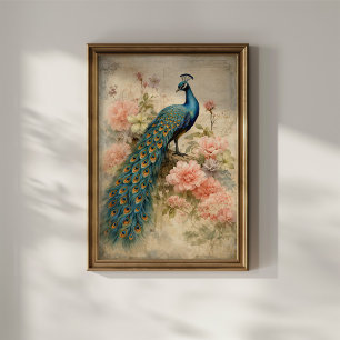 Poster Paon Vintage