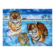 Poster Paper