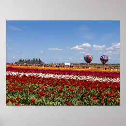 Poster Papier-affiche pour tulipes de printemps (Matte)