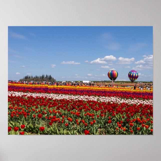 Poster Papier-affiche pour tulipes de printemps (Matte) (Devant)