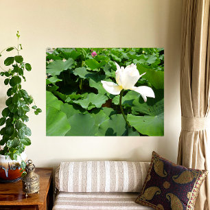 Poster Papier blanc Lotus