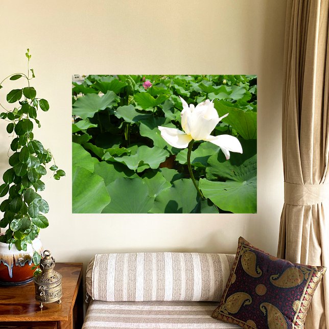 Poster Papier blanc Lotus (Créateur téléchargé)