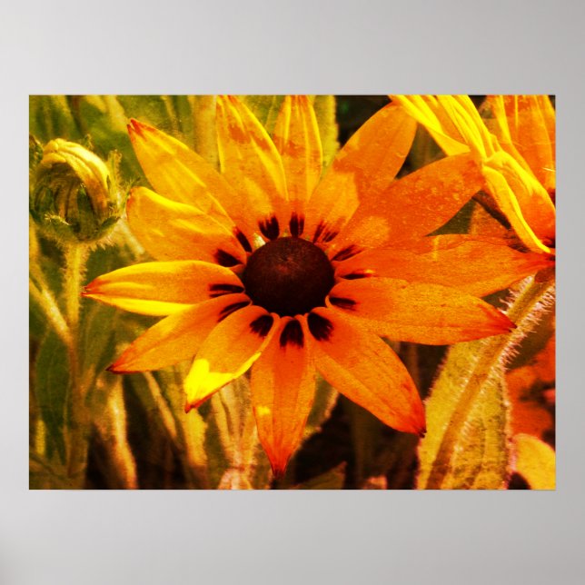 Poster Papier d'affiche de la valeur photo des fleurs jau (Devant)