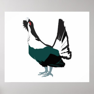 Poster Papier d'affiche de valeur de l'oiseau Capercailli