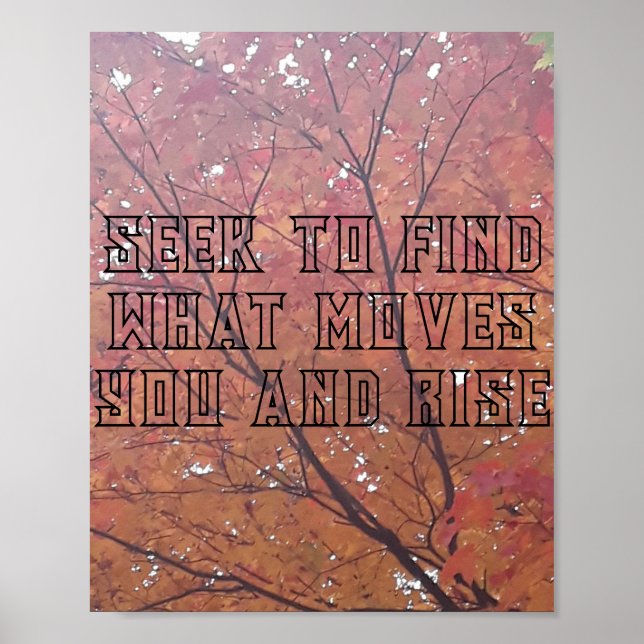 Poster Papier d'affiche de valeur (Matte) (Devant)