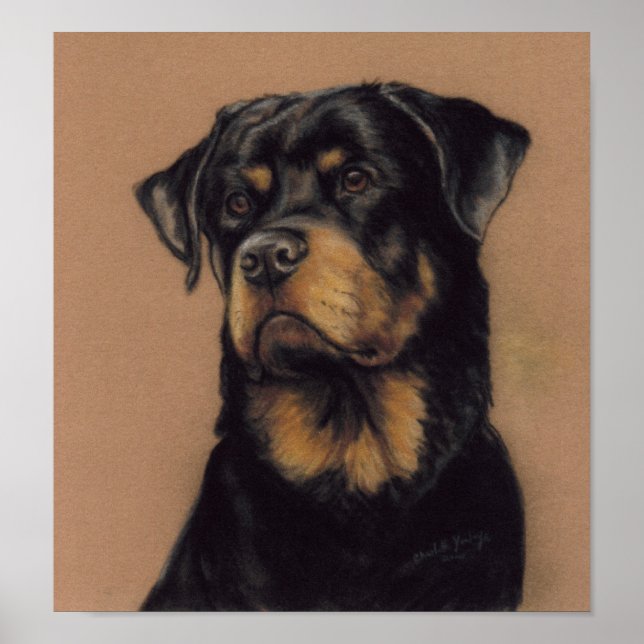 Poster Papier d'art de chien Rottweiler (Devant)