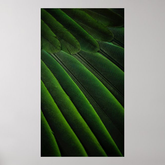 Poster Papier peint 3D vert (Devant)