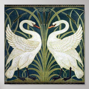 Poster Papier peint Swan and Rush and Iris