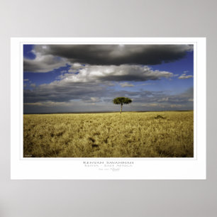 Poster Papier Savannah du Kenya