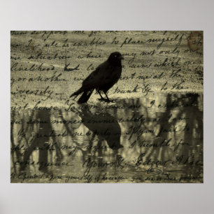 Poster Papiers Crow Et Poe