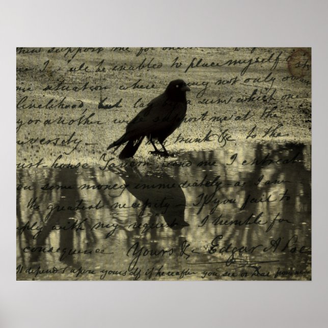 Poster Papiers Crow Et Poe (Devant)