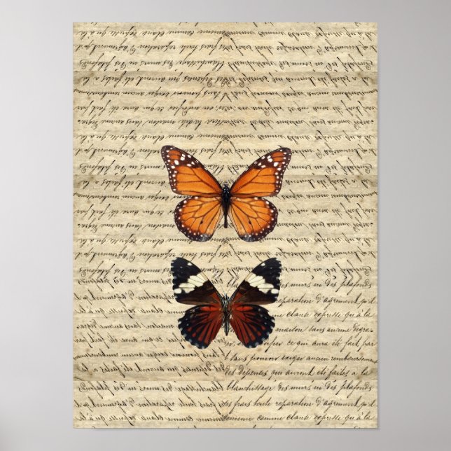 Poster papillon (Devant)