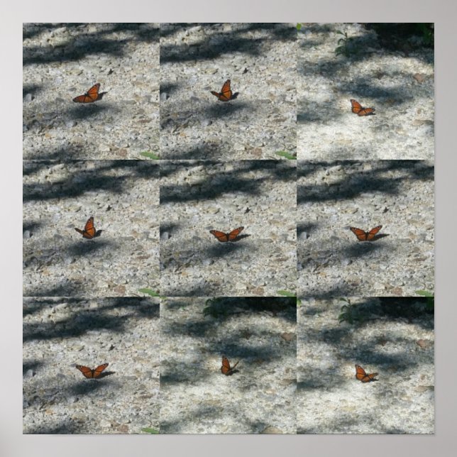 Poster papillon (Devant)