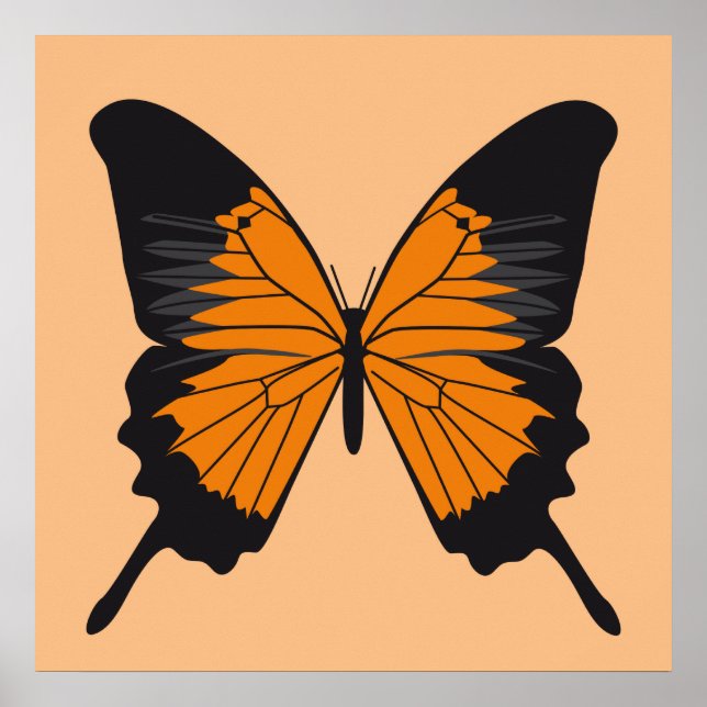 Poster papillon1 (Devant)