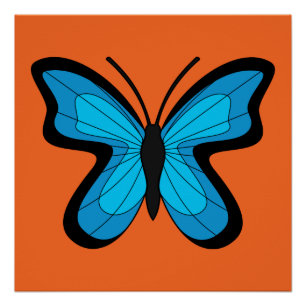 Poster Papillon bleu