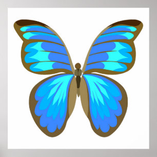 Poster Papillon bleu
