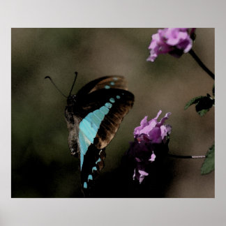 Poster Papillon bleu Abstrait