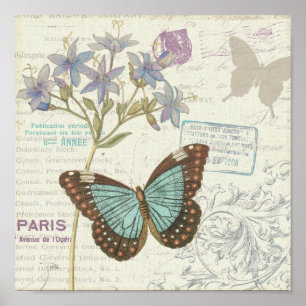 Poster Papillon bleu et Brown