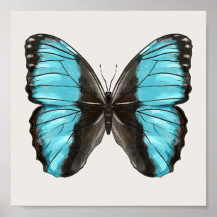 Poster Papillon bleu Insect Art Amour de la nature