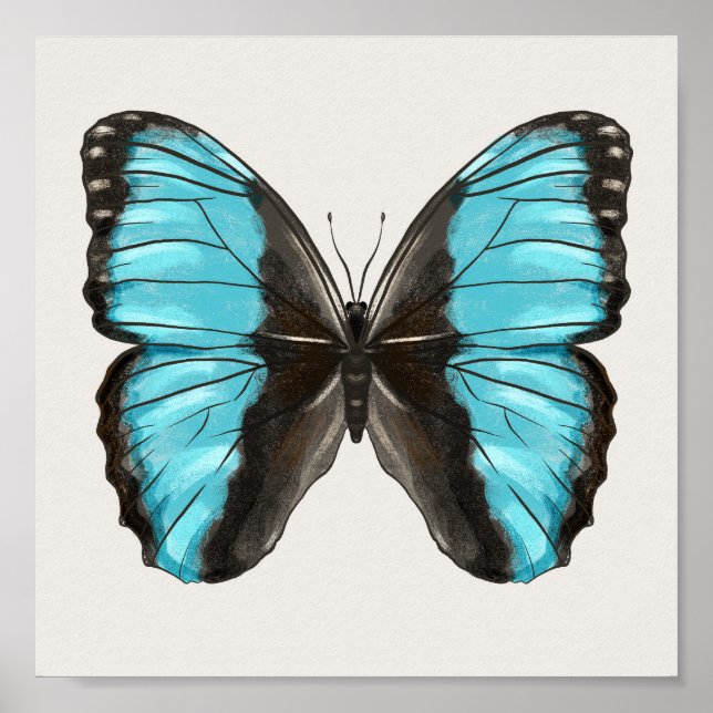 Poster Papillon bleu Insect Art Amour de la nature (Devant)