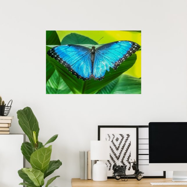 Poster Papillon bleu Morpho Floral Nature Art (Bureau à domicile)