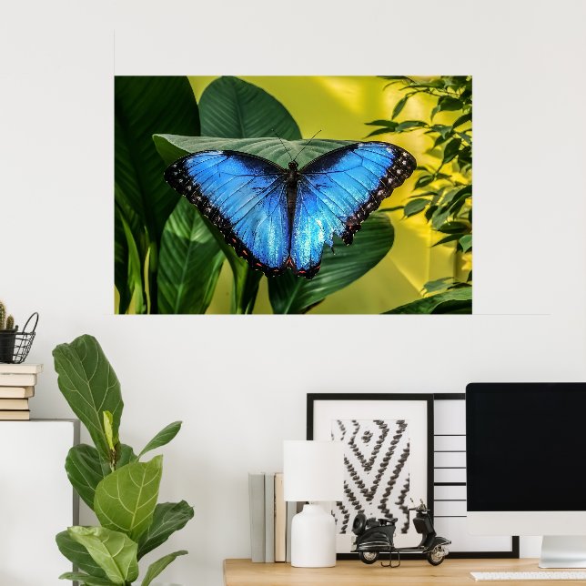 Poster Papillon bleu Morpho Floral Nature Art (Bureau à domicile)