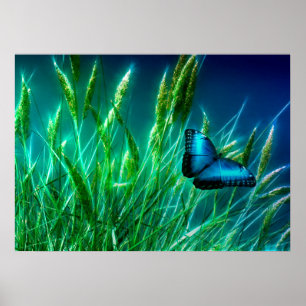 Poster Papillon bleu Morpho sur herbe verte