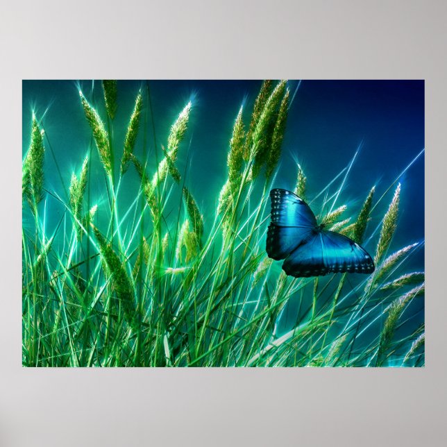 Poster Papillon bleu Morpho sur herbe verte (Devant)