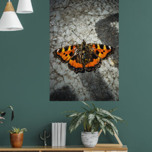 Poster Papillon Carapace Photo Art Style Grunge