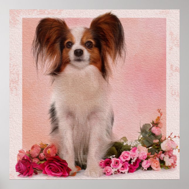 Poster Papillon -Continental Toy Spaniel (Devant)