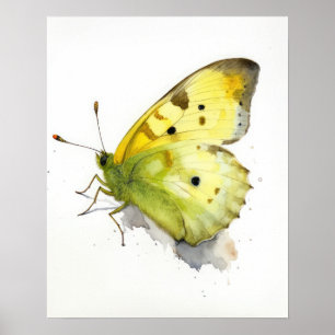 Poster Papillon d'art en soufre embouti