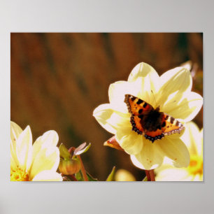 Poster Papillon d'automne