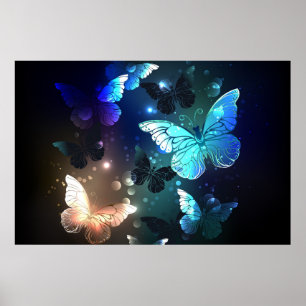 Poster Papillon de nuit