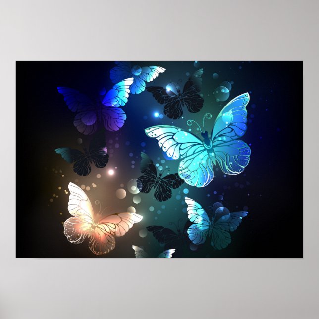 Poster Papillon de nuit (Devant)
