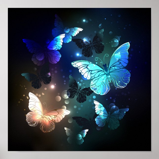 Poster Papillon de nuit (Devant)