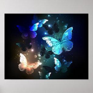 Poster Papillon de nuit