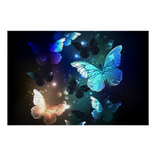 Poster Papillon de nuit