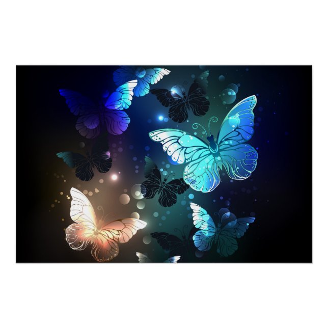 Poster Papillon de nuit (Devant)