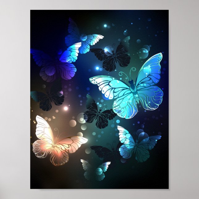 Poster Papillon de nuit (Devant)