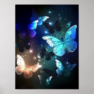 Poster Papillon de nuit